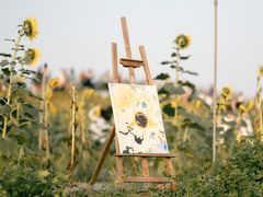 -光明小镇欢乐田园