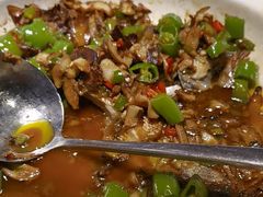 -滇铺子·云南特色菜·第九届野生菌美食节(曲靖万达店)