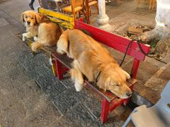 -八木轩·寻味大理白族民俗餐厅(文献路店)