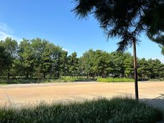 -汉长安城未央宫国家考古遗址公园