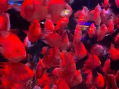-南昌融创海世界