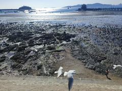 -汉庭（青岛台东步行街店）(原台东万达店)