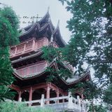 🍀『小县城里的飞凤山』