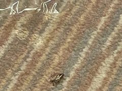 -曼骊酒店(深圳南山海岸城店)