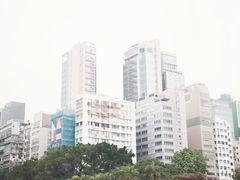 -九龙公园