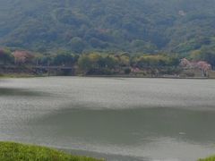 -风云岭森林公园