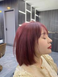 -IP SALON