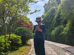 -青龙山公园