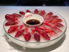-红盔甲·小龙虾(天钥桥店)