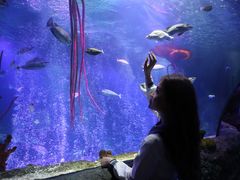 -沈阳海洋探索中心