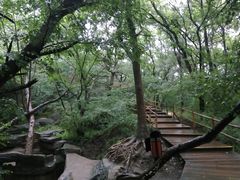 -大青沟风景区