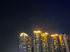 -珠江夜游广州塔·中大码头