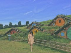 -武汉紫薇都市田园