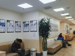 -美联众合动物医院·24h转诊中心