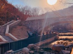 -白水寺森林公园