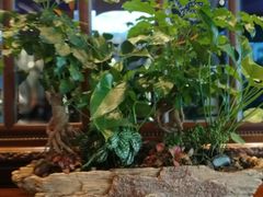 -厦门泰谷酒店(中山路镇海路地铁站店)