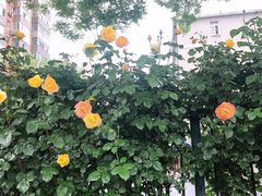 -钱塘花园·宁波菜