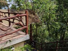 -海南槟榔谷黎苗文化旅游区