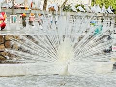 -J Create城市露营咖啡·简餐·宠物(上海动物园店)