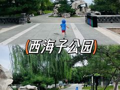 -西海子公园