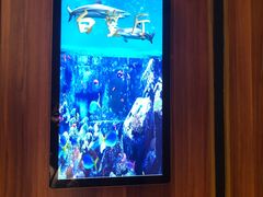 -至尊鲨鱼·原烹海鲜·新浙菜(拱宸桥店)