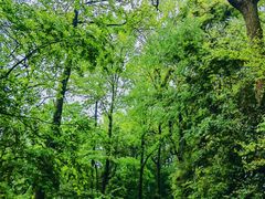 -敬亭山风景名胜区