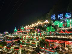 -枇杷园食为鲜火锅(南山店)