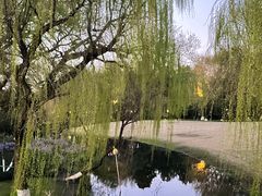 -柳浪闻莺公园