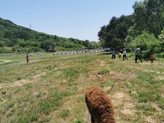 -大连铭湖国际观光牧场