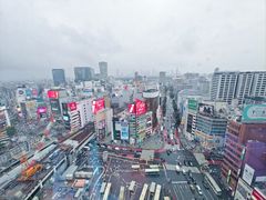 -涩谷区