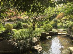 -新湖明珠城