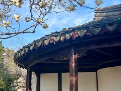 -八大山人梅湖景区