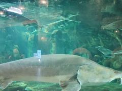 -华夏文旅西安度假区