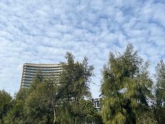 -舟山希尔顿酒店