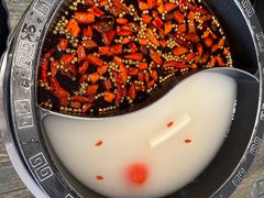 -销魂美蛙鱼头火锅(上海首店)