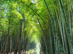 -同里国家湿地公园