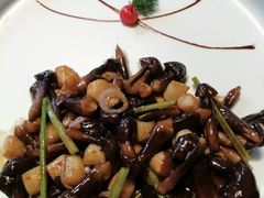 鸡枞菌炒带子-碧丽宫大酒店(召稼楼店)