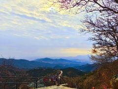 -香山公园
