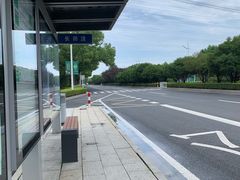 -长田漾湿地公园