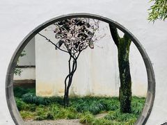 -沧浪亭