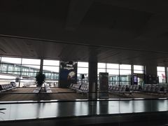 -上海浦东国际机场-T2航站楼