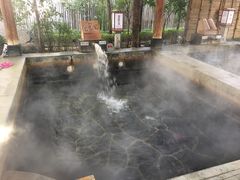 -西安国际创新人才交流中心•药浴温泉