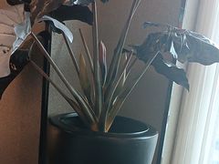 -上岛咖啡(大德店)