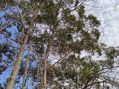 -广东金融学院(校本部)