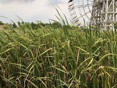 -苏州吴中太湖旅游区