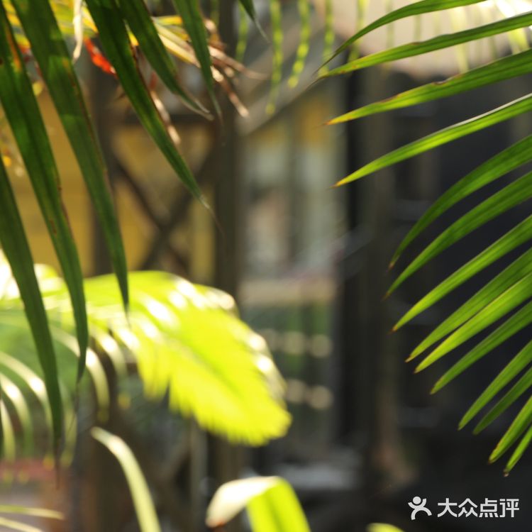 广州旅游攻略‖不是沙茶面也不是云吞面的沙面