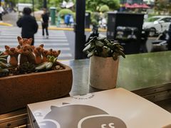 -WHEN PIGS FLY当猪飞