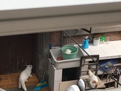 -W CAFE(甜爱路店)