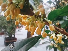 -颐和园