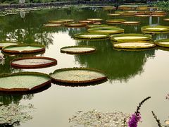 -国家植物园南园